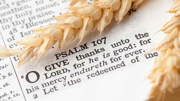 GIVING THANKS_ MY DUTY