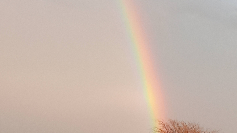 HIS PROMISE IS NOT A JOKE